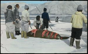 Image of Hunt and Eskimos [Inuit] Watch for a Seal and Butcher Seal
